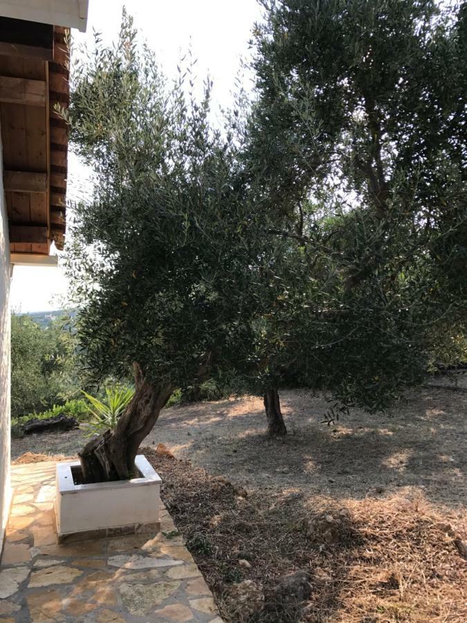 Ferienhaus Olive Garden Kyparissía Eksteriør bilde